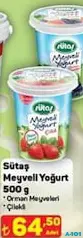 SÜTAŞ MEYVELİ YOĞURT 500 G fiyat ve kampanya bilgisi